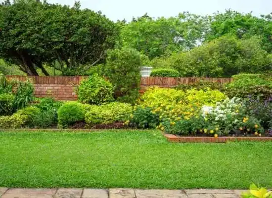 landscaping services Mount Carmel